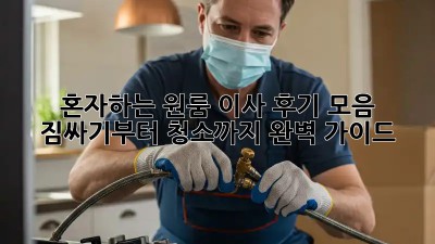 혼자하는 원룸 이사 후기 모음: 짐싸기부터 청소까지 완벽 가이드!
