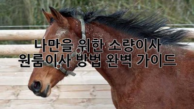 나만을 위한 소량이사, 원룸이사 방법 완벽 가이드 🚚💨