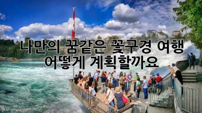 나만의 꿈같은 꽃구경 여행, 어떻게 계획할까요? 🌸