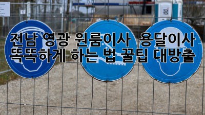 전남 영광 원룸이사 🚚💨 용달이사 똑똑하게 하는 법! 꿀팁 대방출 ✨