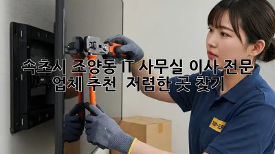속초시 조양동 IT 사무실 이사 전문 업체 추천! 🏢 저렴한 곳 찾기